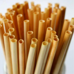 iTRE Cocktail rietjes Biologisch (10 stuks)