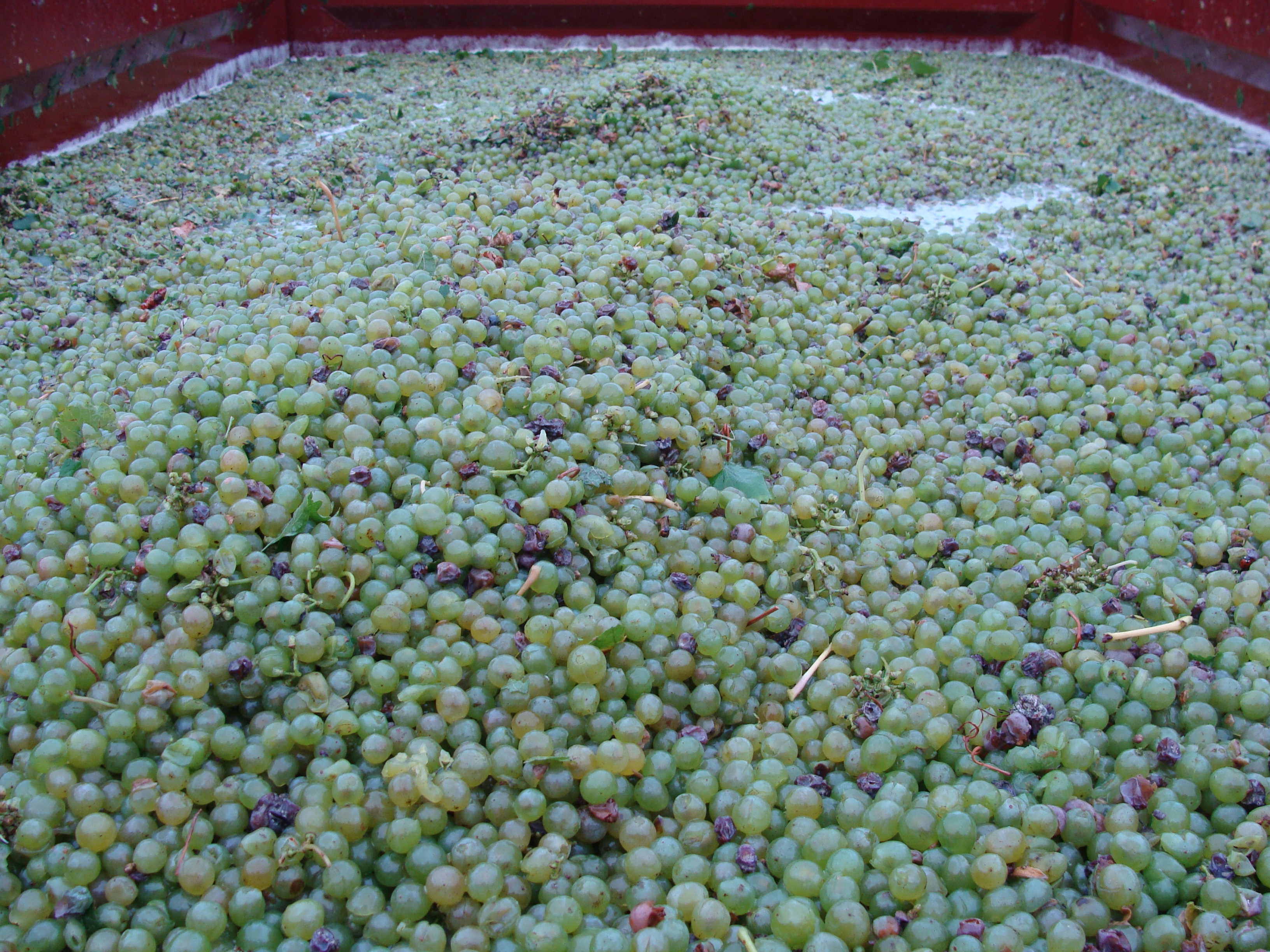 Oogst Preignes le Vieux 2